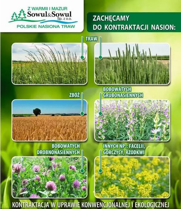 Kontraktacja nasion traw w Bydgoszczy — inwestycja w przyszłość rolnictwa