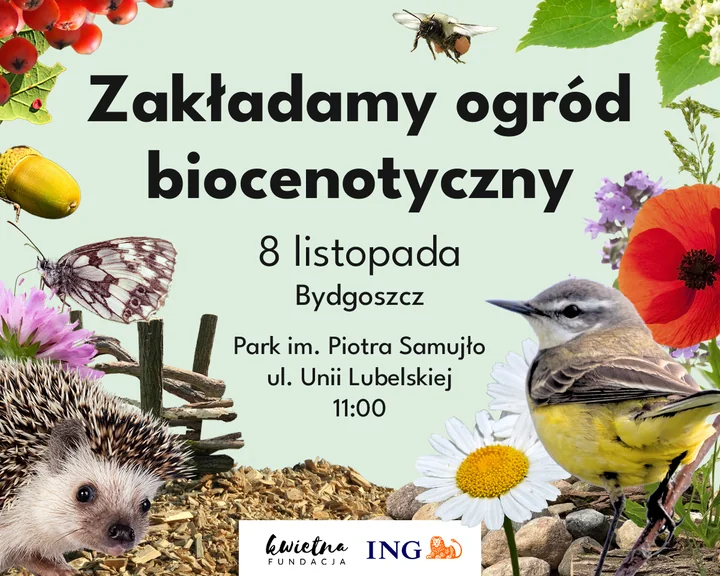 Obraz do artykułu: Zielona rewolucja w Bydgoszczy – już 8 listopada rusza wspólne tworzenie ogrodu biocenotycznego