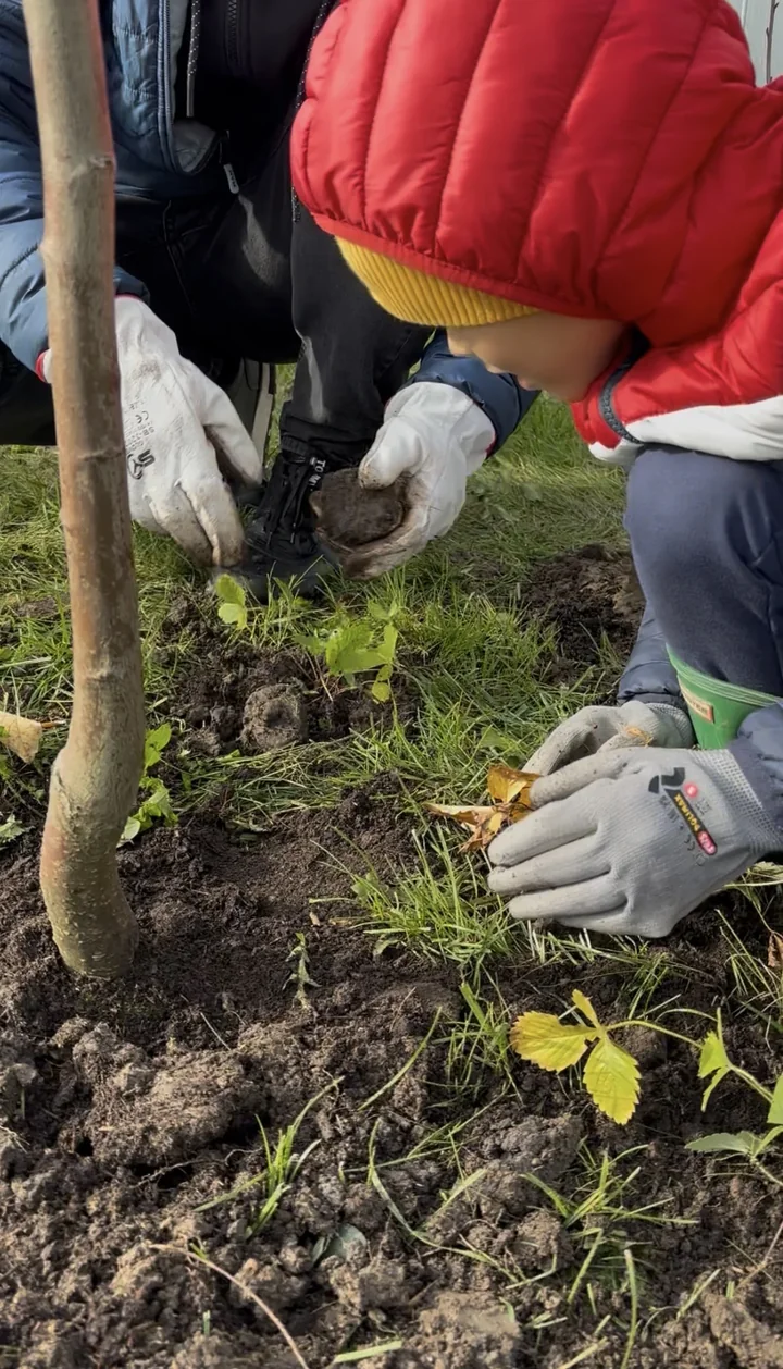 zakładanie ogrodu biocenotycznego sadzenie drzew i krzewów