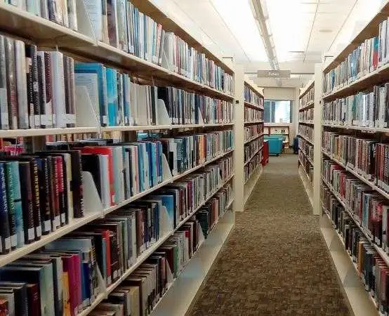 Psotny elf z Ameryki zawita do Biblioteki Głównej i zamieszka na półce