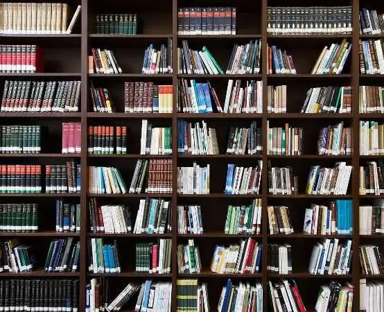 Bernardyn, słowniki i Bydgoszcz — wykład o Bartłomieju, człowieku nauki