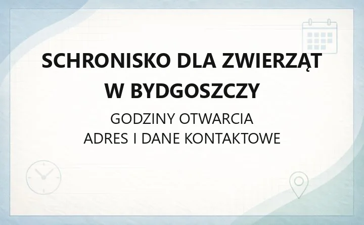 Schronisko dla Zwierząt w Bydgoszczy - kontakt, adopcje, godziny otwarcia