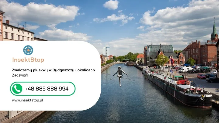 8-bydgoszcz-kontakt-do-firmy-insektstop-20250915080321.webp