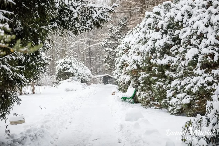 Grafika promocyjna wydarzenia Botaniczna Piątka Bydgoszcz — edycja zimowa w Myślęcinku