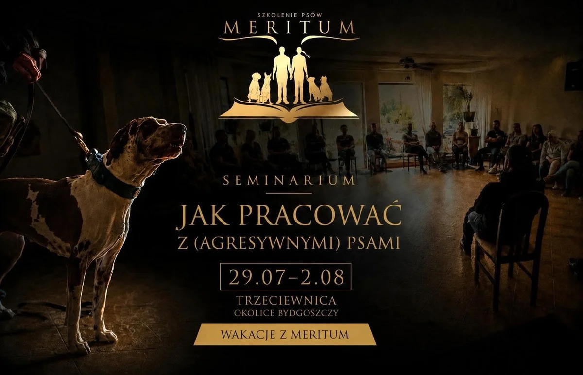 Grafika promocyjna wydarzenia Jak pracować z (agresywnymi) psami – Bydgoszcz: seminarium