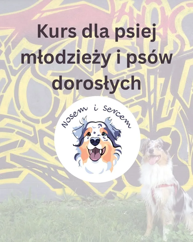 Grafika promocyjna wydarzenia Kurs dla psiej młodzieży i psów dorosłych Bydgoszcz – trening grupowy