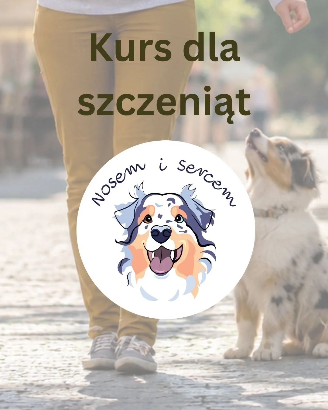 Grafika promocyjna wydarzenia Kurs dla szczeniąt Bydgoszcz – treningi i wychowanie