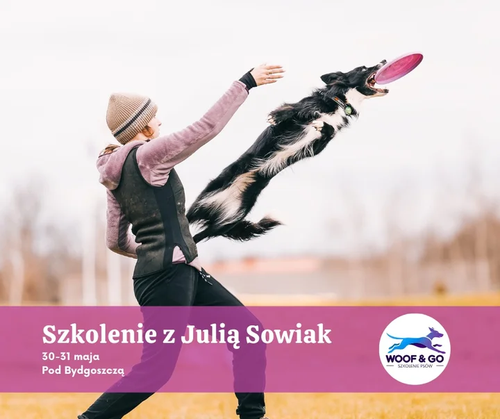 Grafika promocyjna wydarzenia Szkolenie z dogfrisbee z Julią Sowiak w Kaźmierowie (Bydgoszcz)