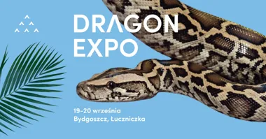 Dragon Expo Bydgoszcz – terraria i rośliny