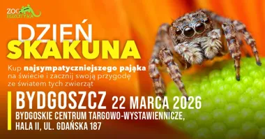 Grafika promocyjna wydarzenia Dzień Skakuna Bydgoszcz — Skakuny na ZooEgzotyka, 22 marca 2026
