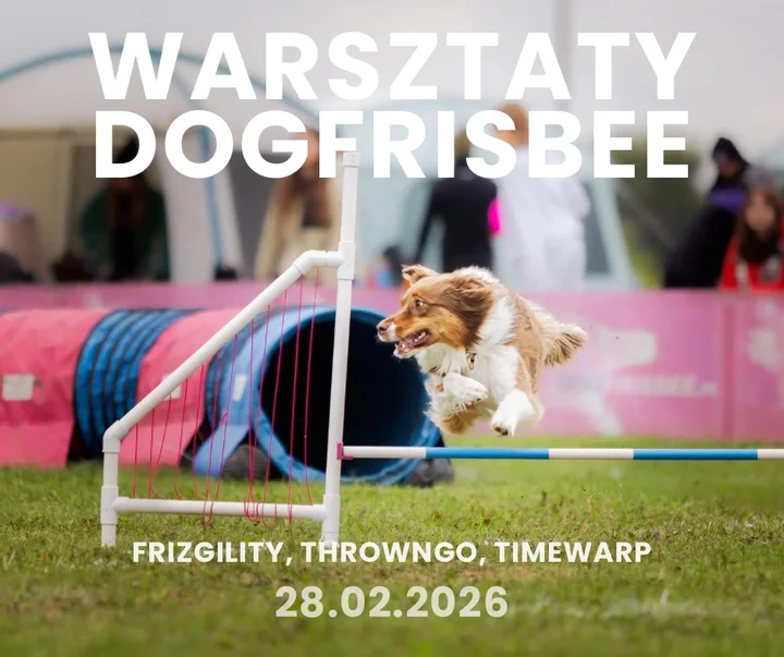 Grafika promocyjna wydarzenia Warsztaty dogfrisbee | frizgility, throwngo i timewarp — Bydgoszcz
