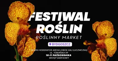 Roślinny market w Bydgoszczy. Wstęp będzie darmowy, ceny od 5 zł