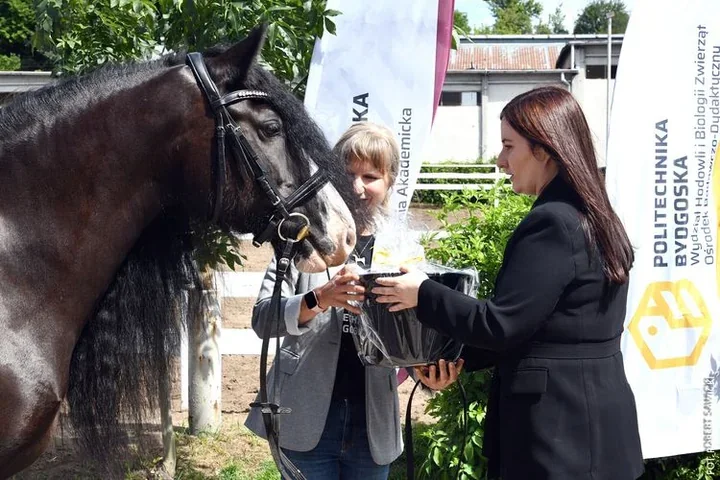 Stajnia w Myślęcinku zyska nowe życie. Trafi do studentów weterynarii