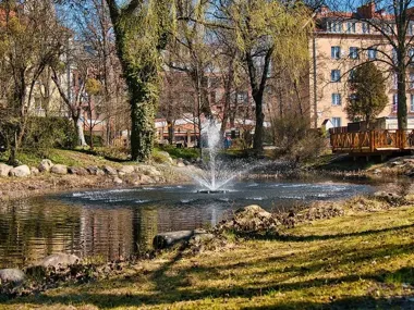 Botanik znów otworzył bramy i kusi spacerem wśród wiosennej zieleni