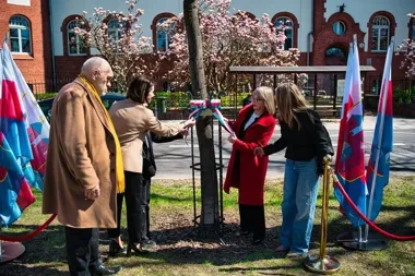Kazimierz Wielki dostał własny dąb. W Bydgoszczy świętują podwójny jubileusz