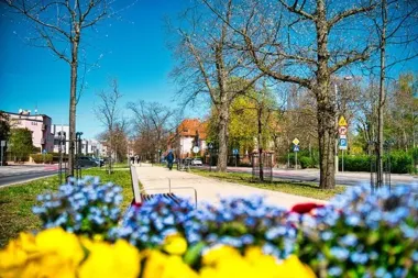 Nowy dąb w Alei Dębów Honorowych upamiętni Hieronima Konieczkę