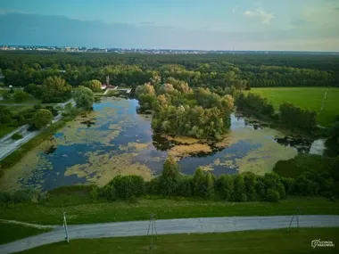 Myślęcinek ma plan na lato. Zoo, ogród botaniczny i dinozaury w jednym miejscu
