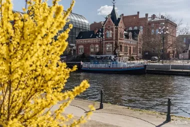 Bydgoszcz szykuje weekend pełen spacerów, wystaw i muzycznych premier