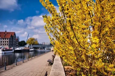 Bydgoszcz szykuje weekend pełen spacerów, muzyki i rodzinnych planów