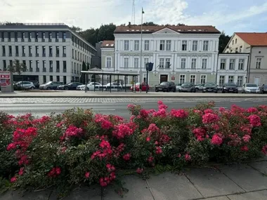 Zabytkowy gmach przy Nowym Rynku przechodzi remont za ponad 800 tys. zł