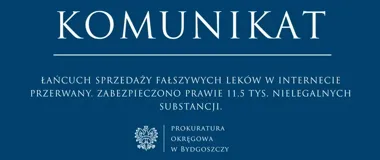 Prawie 11,5 tys. nielegalnych substancji zabezpieczono w sprawie sprzedaży leków