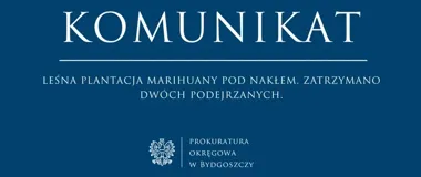 Leśna plantacja pod Nakłem. Dwaj mężczyźni tymczasowo aresztowani