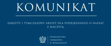 Napaść z maczetą pod Bydgoszczą. Podejrzany trafił do aresztu
