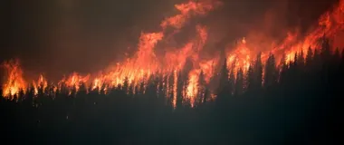 Jedna iskra wystarczy. Rocznica pożaru Puszczy Bydgoskiej ostrzega