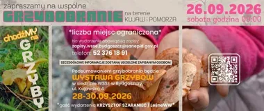 Darmowe grzybobranie z ekspertami. Ruszają zapisy na jesienną akcję
