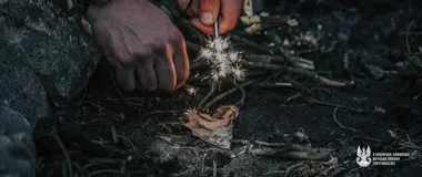 Bezpłatne szkolenia w Bydgoszczy uczą reagowania w czterech obszarach