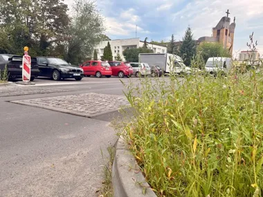 Nowe minirondo i spokojniejszy ruch na Stawowej. Duże zmiany na Błoniu